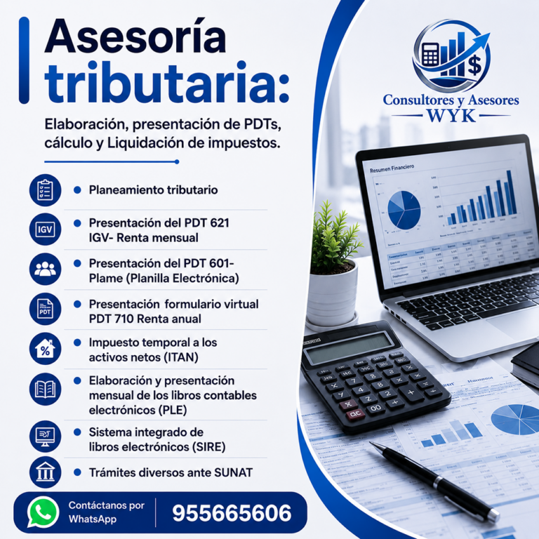 Consultores y Asesores WYK SAC 03 1000 x 1000