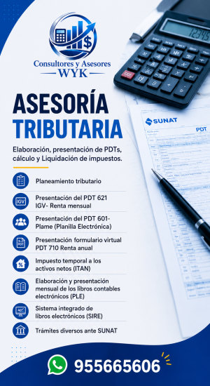 Consultores y Asesores WYK SAC TIKTOK 01b